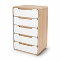 **Technische titel in het Nederlands:** **Moderne houten commode met vijf lades**